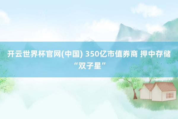 开云世界杯官网(中国) 350亿市值券商 押中存储“双子星”
