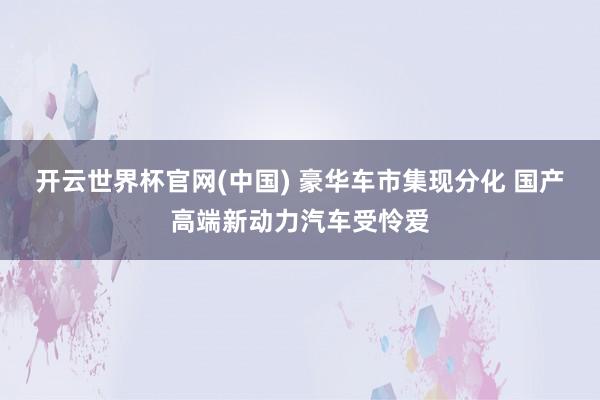 开云世界杯官网(中国) 豪华车市集现分化 国产高端新动力汽车受怜爱