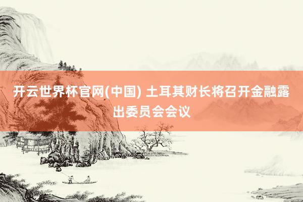 开云世界杯官网(中国) 土耳其财长将召开金融露出委员会会议