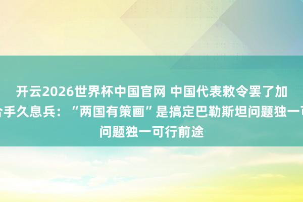 开云2026世界杯中国官网 中国代表敕令罢了加沙果然合手久息兵:“两国有策画”是搞定巴勒斯坦问题独一可行前途