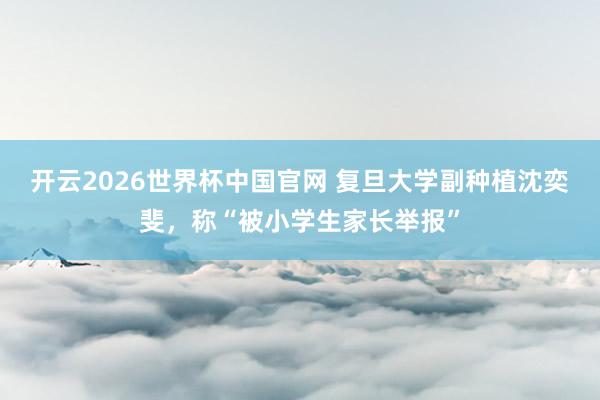 开云2026世界杯中国官网 复旦大学副种植沈奕斐,称“被小学生家长举报”