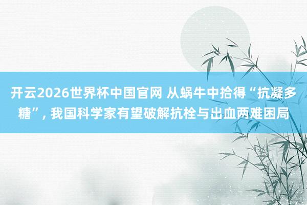 开云2026世界杯中国官网 从蜗牛中拾得“抗凝多糖”, 我国科学家有望破解抗栓与出血两难困局