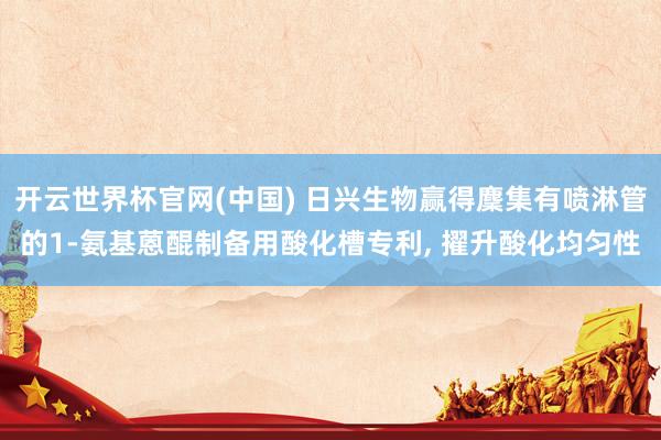 开云世界杯官网(中国) 日兴生物赢得麇集有喷淋管的1-氨基蒽醌制备用酸化槽专利, 擢升酸化均匀性