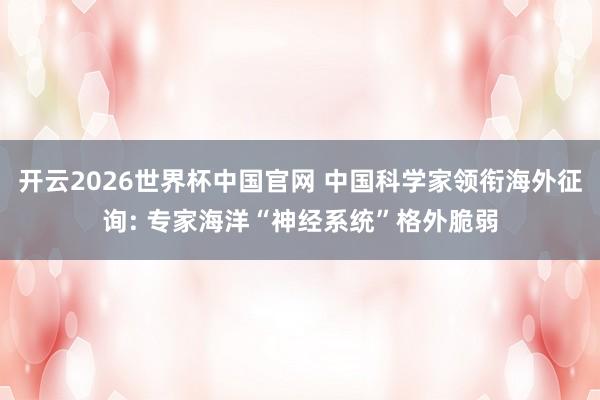 开云2026世界杯中国官网 中国科学家领衔海外征询: 专家海洋“神经系统”格外脆弱