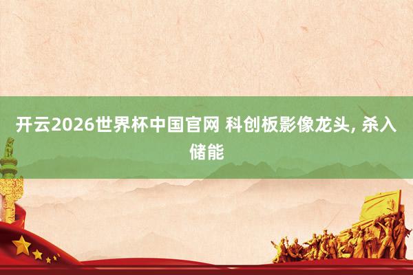 开云2026世界杯中国官网 科创板影像龙头, 杀入储能