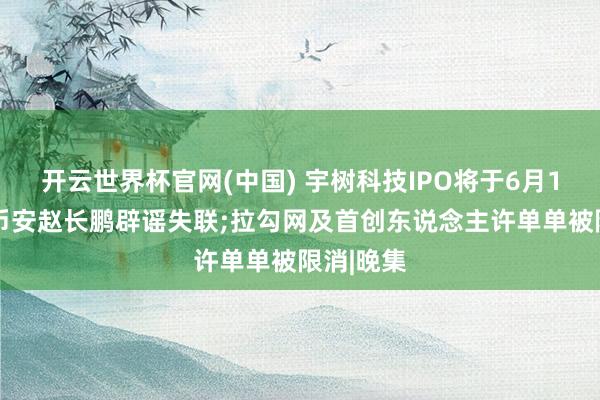 开云世界杯官网(中国) 宇树科技IPO将于6月1日上会;币安赵长鹏辟谣失联;拉勾网及首创东说念主许单单被限消|晚集