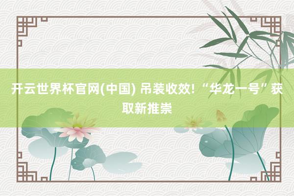 开云世界杯官网(中国) 吊装收效! “华龙一号”获取新推崇