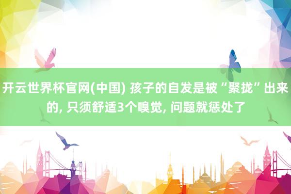 开云世界杯官网(中国) 孩子的自发是被“聚拢”出来的, 只须舒适3个嗅觉, 问题就惩处了