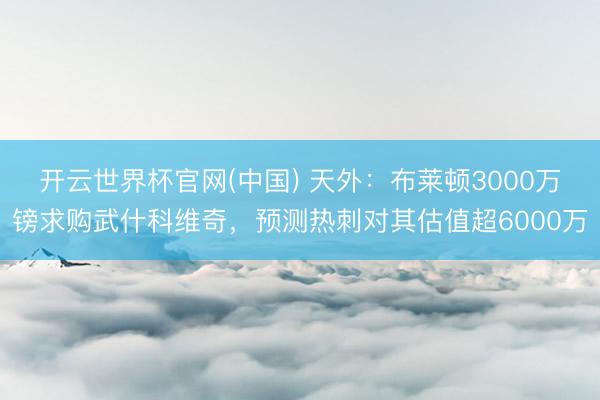 开云世界杯官网(中国) 天外:布莱顿3000万镑求购武什科维奇,预测热刺对其估值超6000万