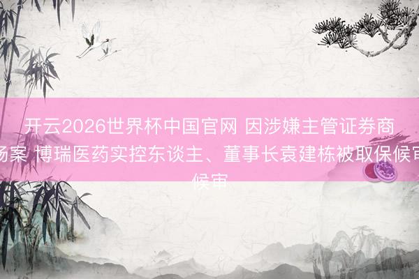 开云2026世界杯中国官网 因涉嫌主管证券商场案 博瑞医药实控东谈主、董事长袁建栋被取保候审