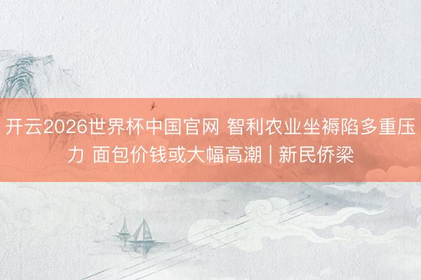 开云2026世界杯中国官网 智利农业坐褥陷多重压力 面包价钱或大幅高潮 | 新民侨梁